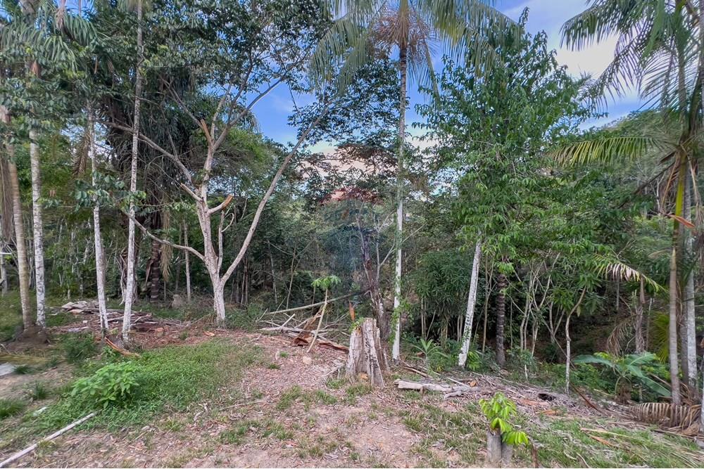 Chácara / Sítio / Fazenda - Venda - Porto Velho , Rondônia - IMG_3130.jpg - 721551059-6