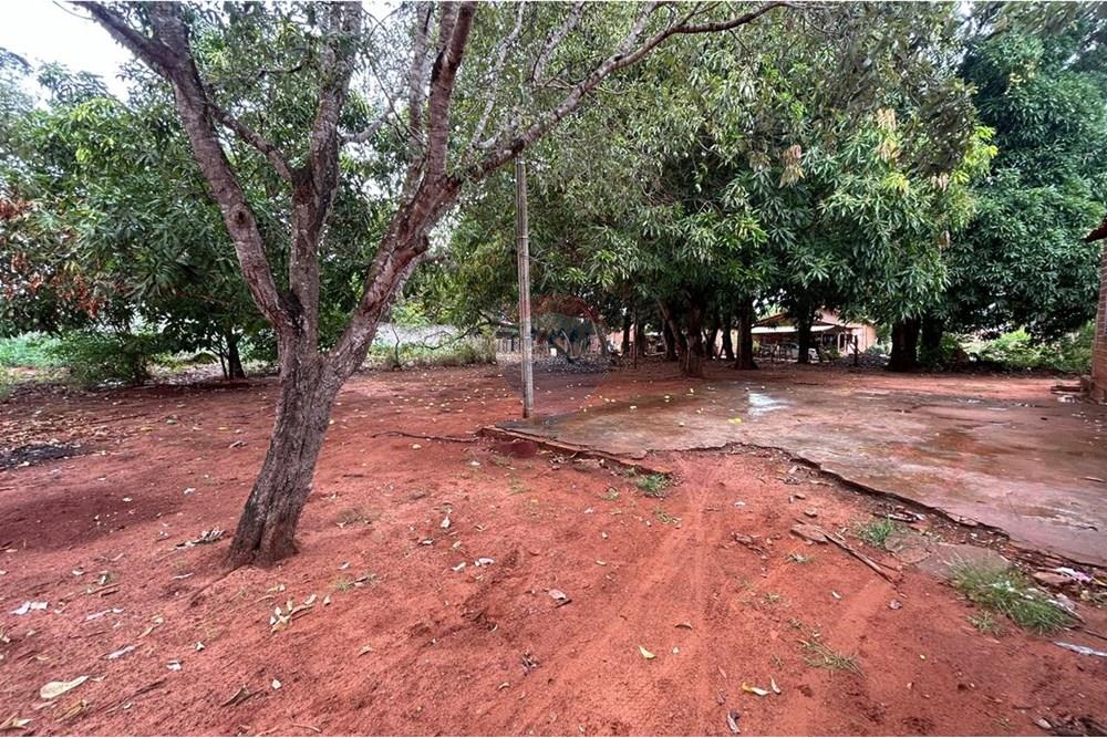 Terreno - Venda - Araguaína , Tocantins - WhatsApp Image 2025-11-21 at 16.17.14 (3).jpeg - 720991019-26