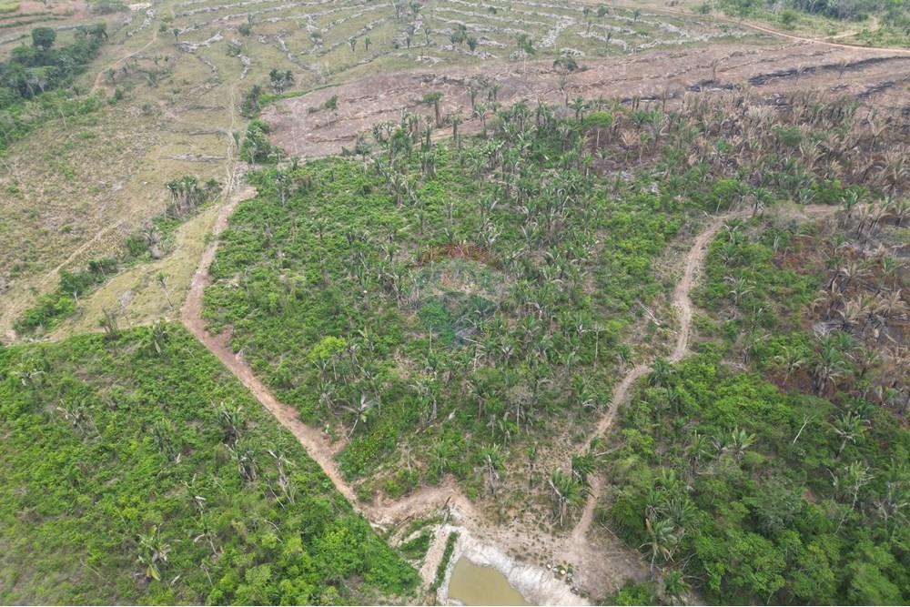 Chácara / Sítio / Fazenda - Venda - Araguaína , Tocantins - DJI_0049.JPG - 720991045-15