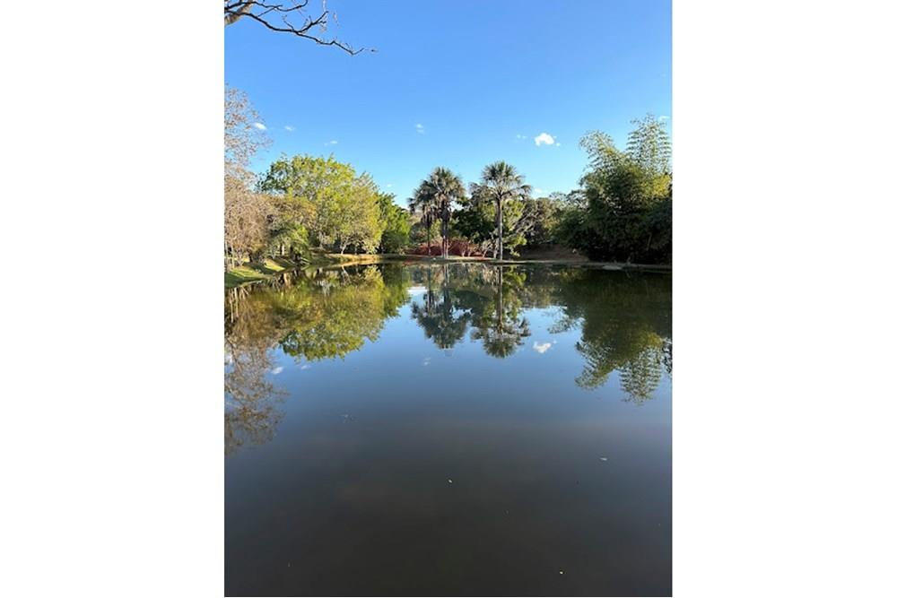 Terreno - Venda - Caldas Novas , Goiás - IMG_7407.jpg - 722251002-39