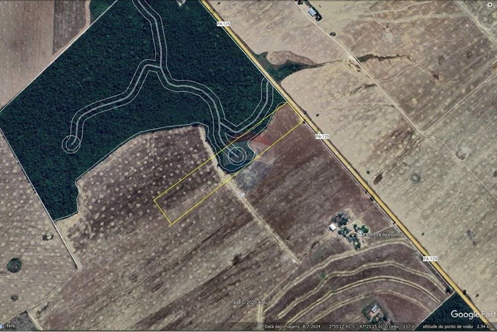 Agro - Venda - Paragominas , Pará - WhatsApp Image 2025-09-10 at 10.38.06.jpeg - 721851003-81