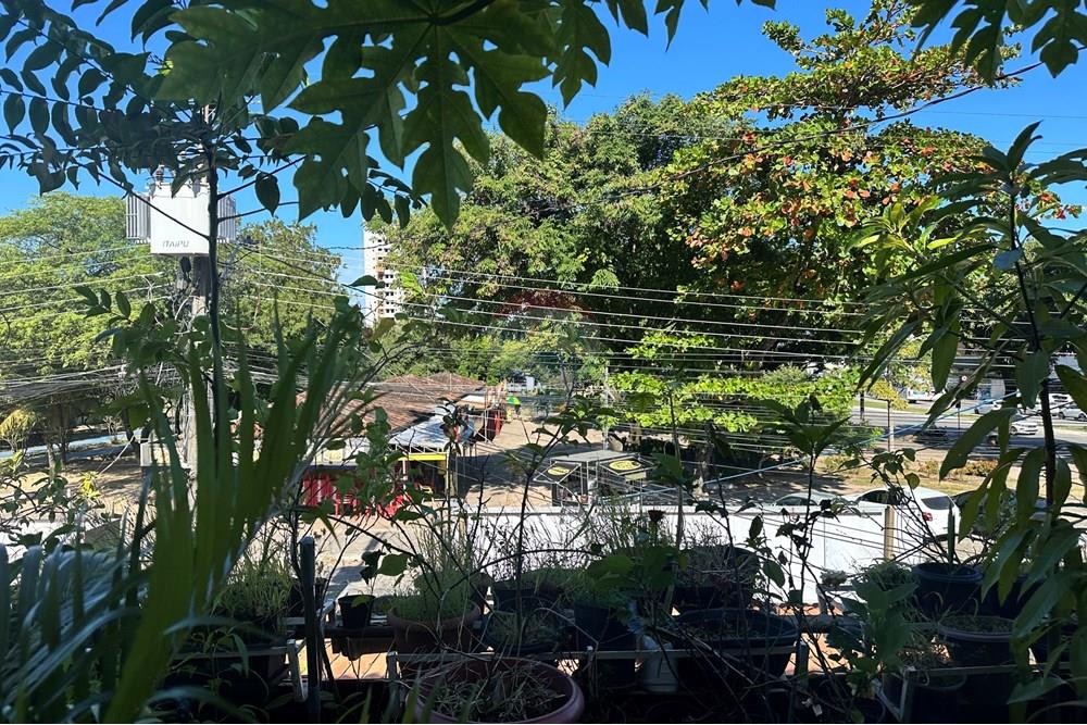 Casa Comercial - Venda - João Pessoa , Paraíba - IMG_7328.JPG - 722011022-243