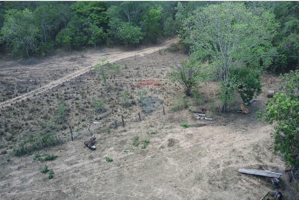 Chácara / Sítio / Fazenda - Venda - Dom Aquino , Mato Grosso - IMG_7833.JPG - 720611016-36