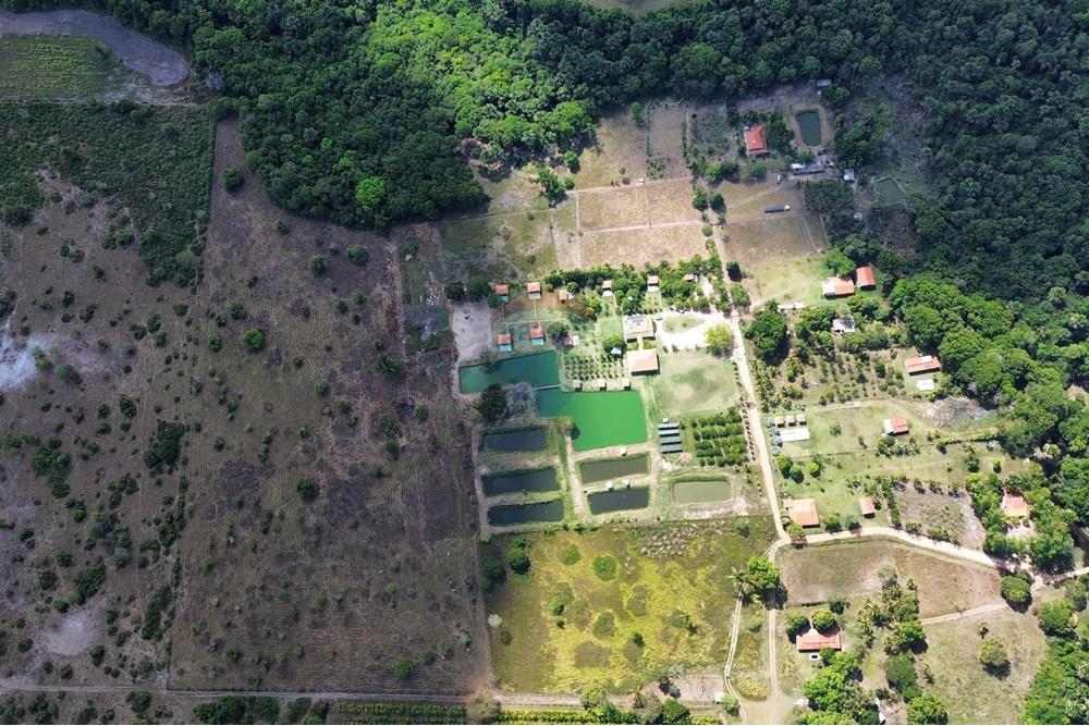 Chácara / Sítio / Fazenda - Venda - Araguaína , Tocantins - IMG_9034.JPG - 722171030-16