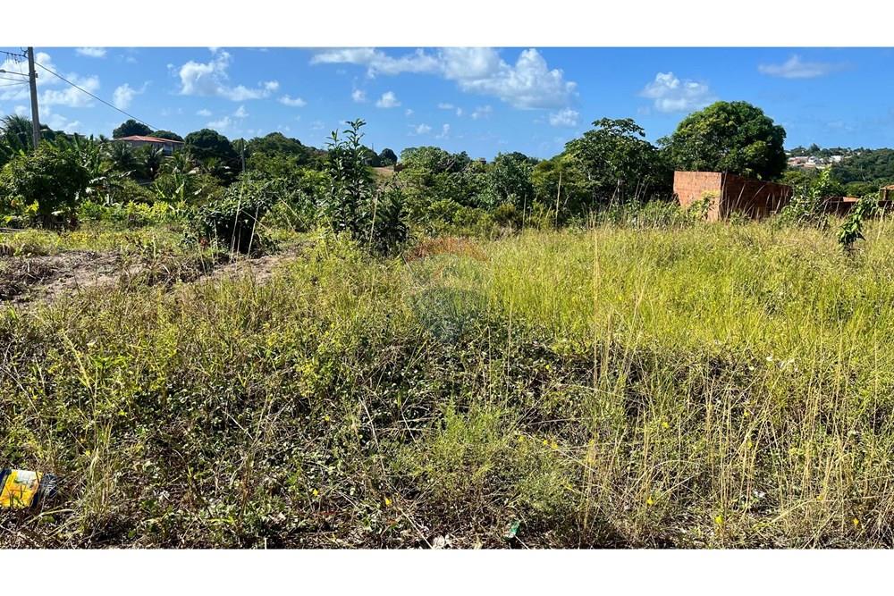 Terreno - Venda - Conde , Paraíba - WhatsApp Image 2025-05-12 at 10.40.39 (3).jpeg - 720871004-197