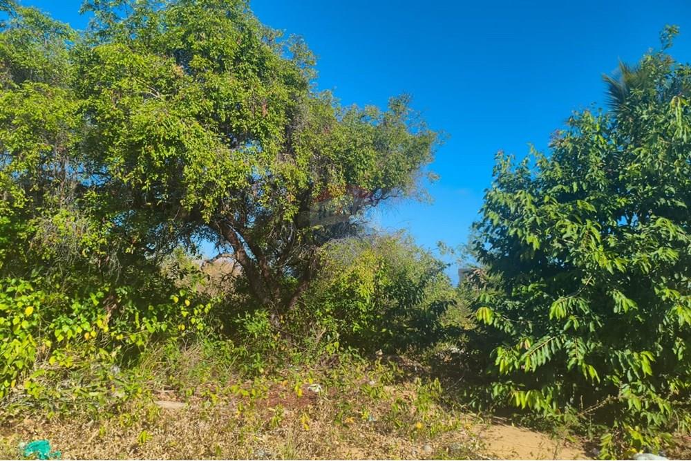 Terreno - Venda - Conde , Paraíba - f2e0a22f-de81-445c-820c-56452938082e.jpg - 720871056-42