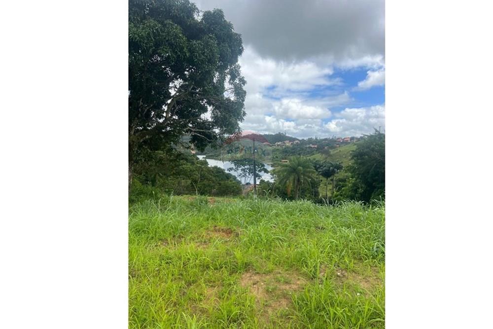 Terreno - Venda - Areia , Paraíba - Vista terreno 1.jpeg - 722421005-4