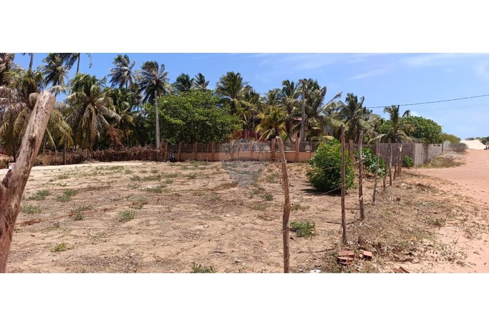 Terreno - Venda - Trairi , Ceará - WhatsApp Image 2026-01-16 at 14.42.46.jpeg - 722341005-41