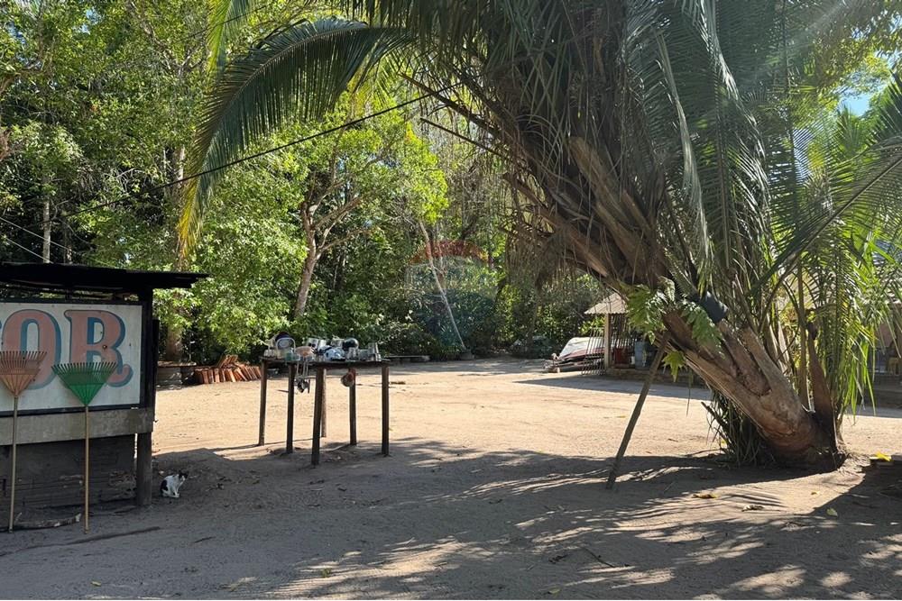 Chácara / Sítio / Fazenda - Venda - Babaçulândia , Tocantins - PHOTO-2025-09-02-09-36-00.jpg - 720991008-76