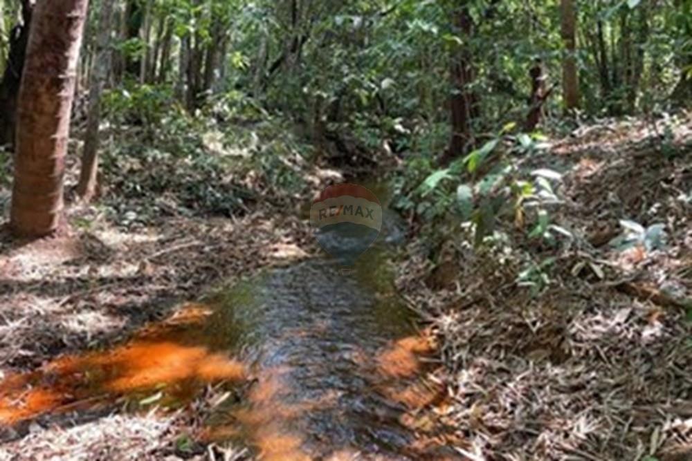 Chácara / Sítio / Fazenda - Venda - Palmas , Tocantins - WhatsApp Image 2025-09-30 at 11.32.35 (2).jpeg - 722171030-18