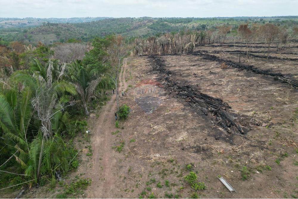 Chácara / Sítio / Fazenda - Venda - Araguaína , Tocantins - DJI_0052.JPG - 720991045-15