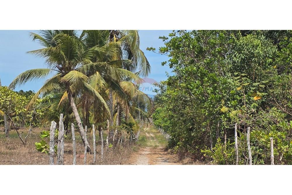 Terreno - Venda - Acaraú , Ceará - 1000304712.jpg - 722341001-114