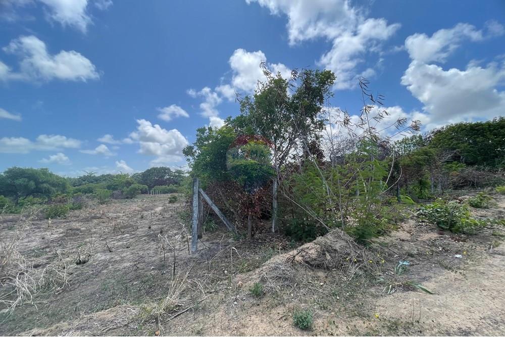 Terreno - Venda - Conde , Paraíba - WhatsApp Image 2025-01-02 at 15.01.08.jpeg - 720871004-173