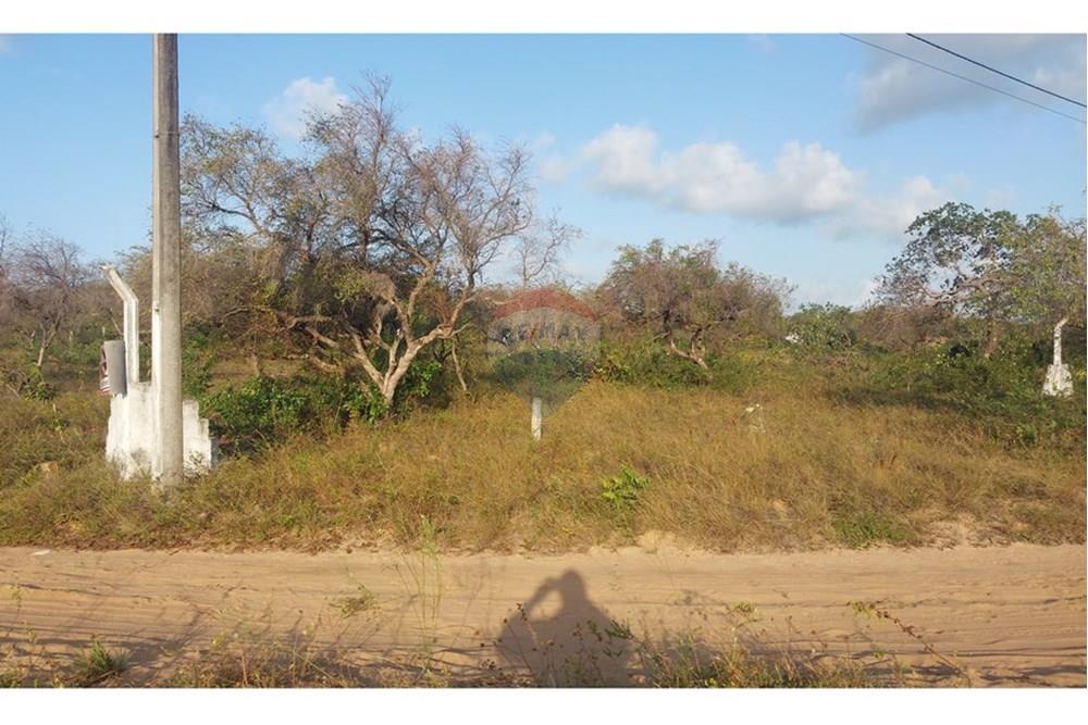 Terreno - Venda - Nísia Floresta , Rio Grande do Norte - Terreno 5 (1).jpg - 720891234-9