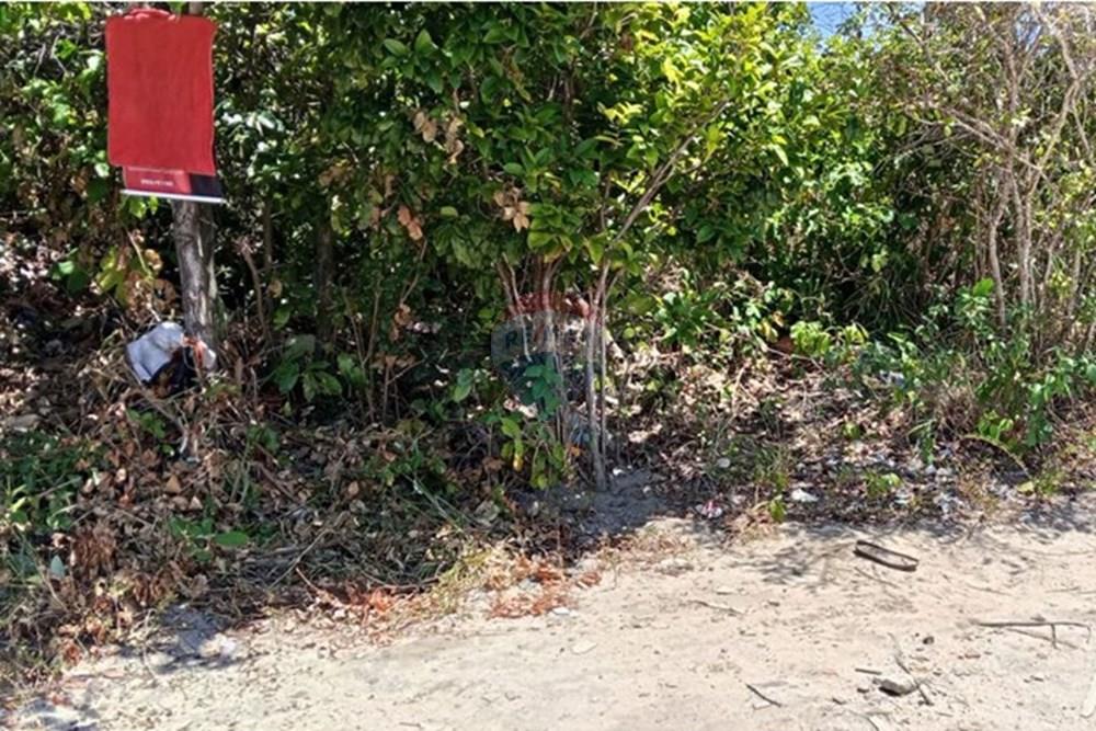 Terreno - Venda - Conde , Paraíba - WhatsApp Image 2025-11-08 at 10.12.13.jpeg - 720871062-6