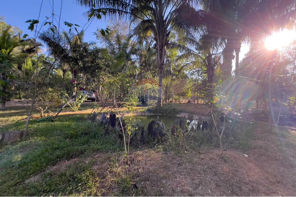 Chácara / Sítio / Fazenda - Venda - Porto Velho , Rondônia - IMG_9030.jpg - 721551016-73