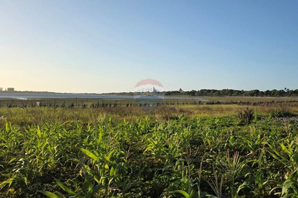 Terreno - Venda - Cruz , Ceará - 1000385828.jpg - 722341001-122