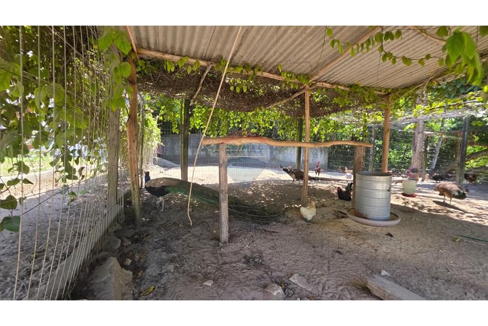 Terreno - Venda - Conde , Paraíba - WhatsApp Image 2025-12-02 at 17.17.37.jpeg - 720871015-141