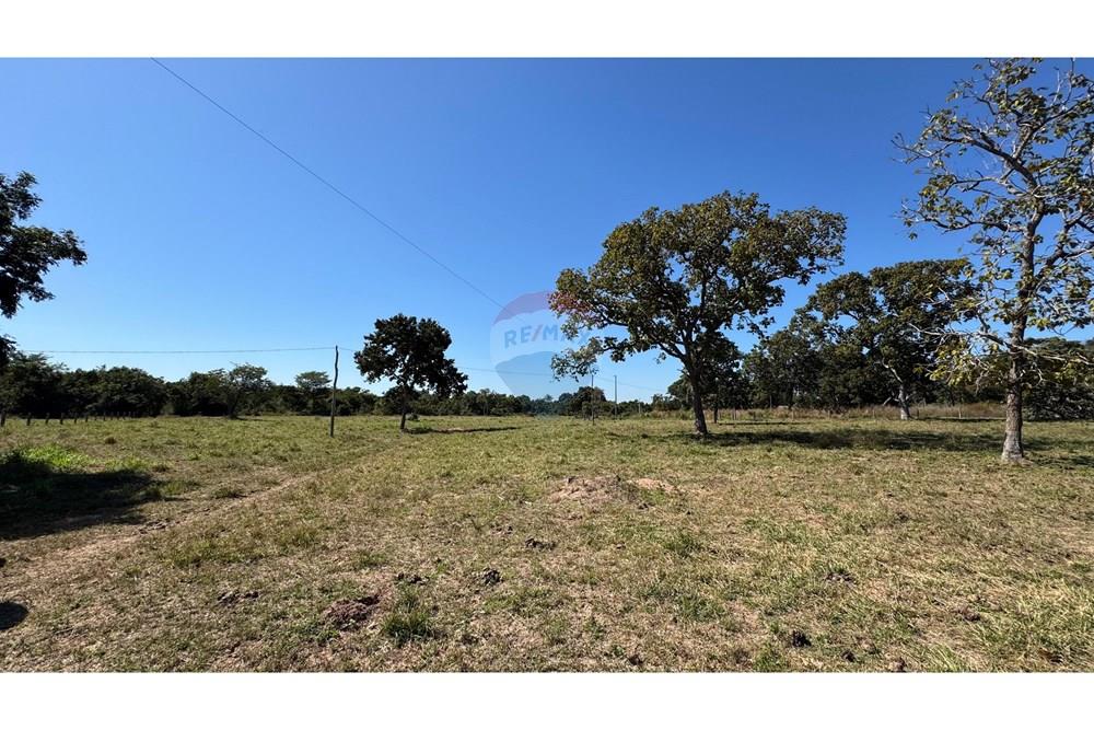 Fazenda - Venda - Santo Antônio do Leverger , Mato Grosso - dc0c6b88-352f-4834-9131-0e37b2d8fa5a.jpeg - 720611035-41