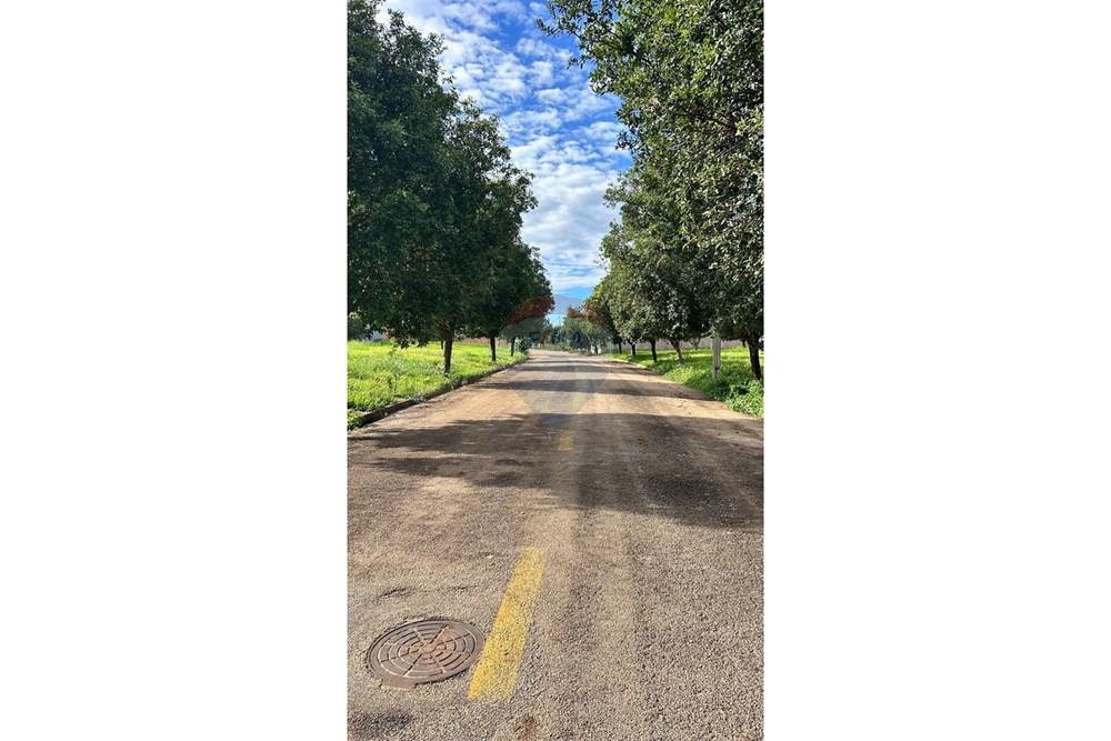 Terreno - Venda - Rondonópolis , Mato Grosso - WhatsApp Image 2026-03-31 at 18.48.00 (1).jpeg - 720851154-251