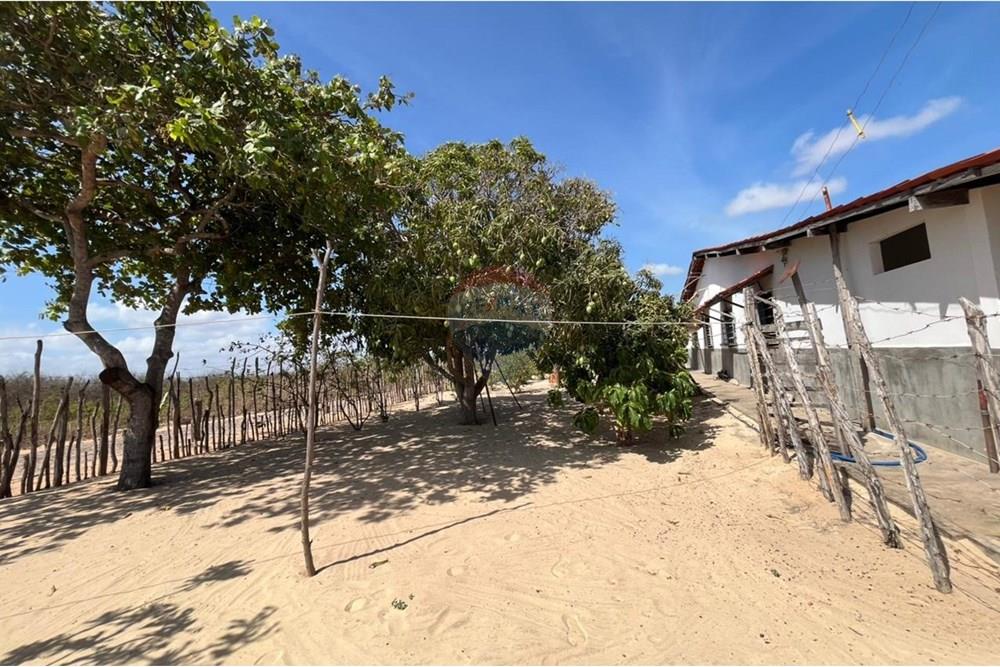 Casa - Venda - Parnaíba , Piauí - WhatsApp Image 2025-12-11 at 10.44.29 (4).jpeg - 722361007-11