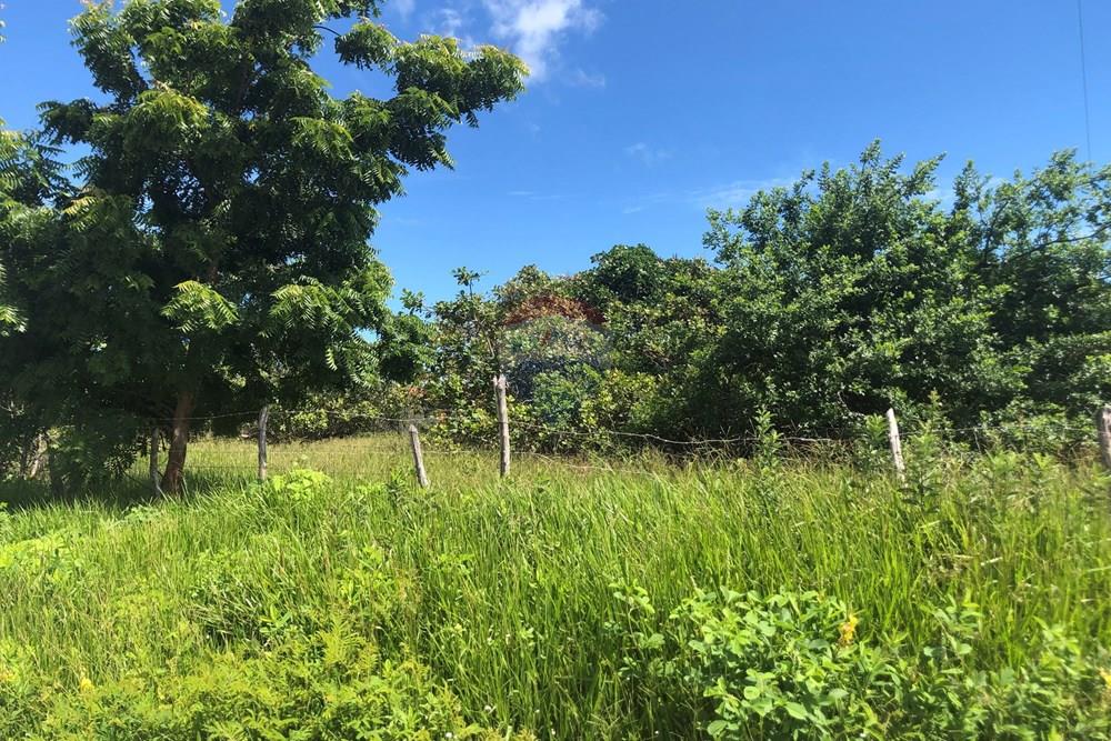 Terreno - Venda - Cruz , Ceará - IMG_0581.jpeg - 722341001-199