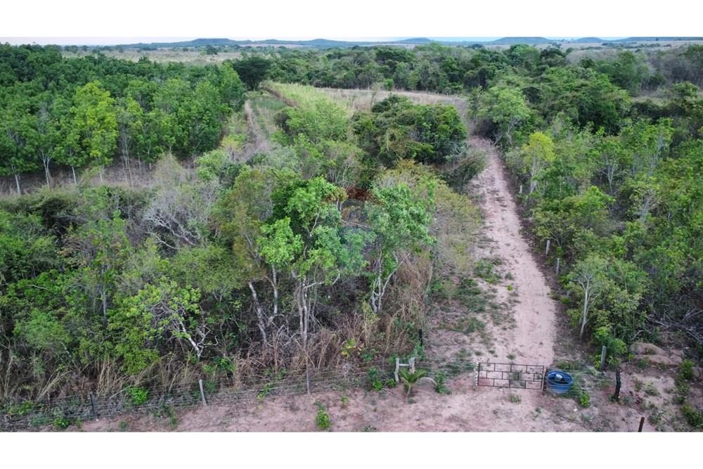 Chácara / Sítio / Fazenda - Venda - Água Boa , Mato Grosso - dji_fly_20251010_182344_136_1760131434836_photo_optimized.jpg - 722211004-26