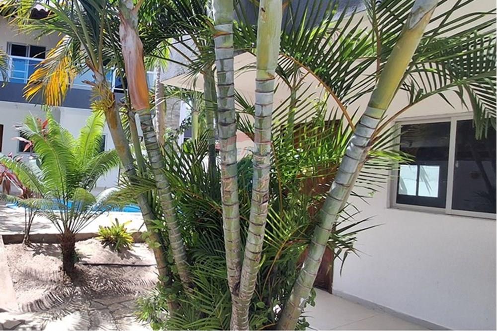 Duplex - Venda - Conde , Paraíba - 20251122_124043.jpg - 720871044-48