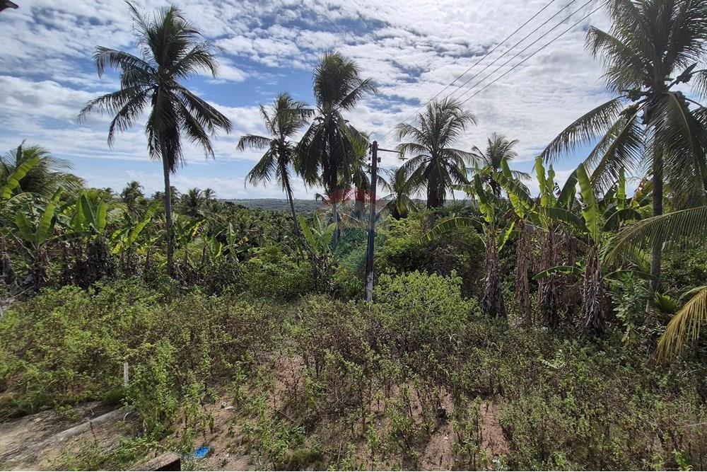 Chácara / Sítio / Fazenda - Venda - Conde , Paraíba - 20250123_1444571.jpg - 722011055-36