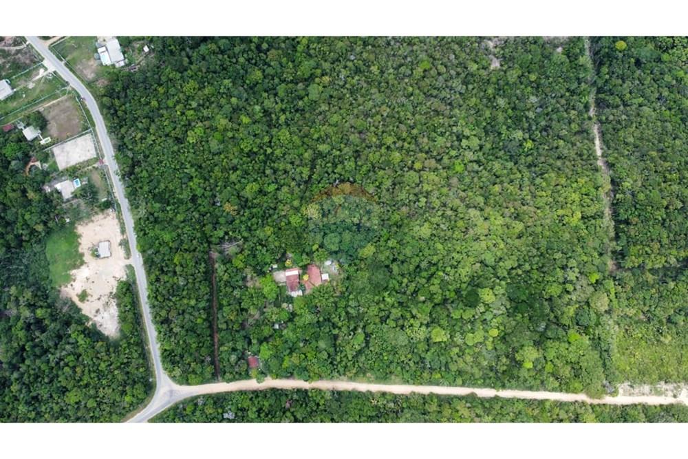 Terreno - Venda - Manaus , Amazonas - WhatsApp Image 2025-12-18 at 17.09.46 (1).jpeg - 720721004-184