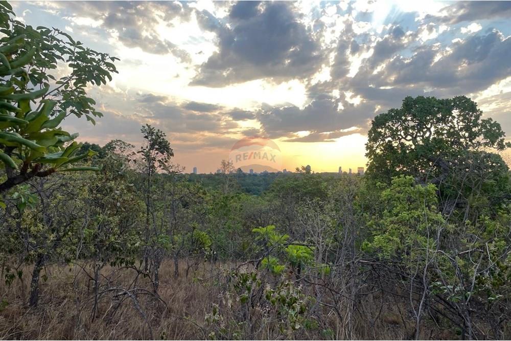 Chácara / Sítio / Fazenda - Venda - Palmas , Tocantins - WhatsApp Image 2025-09-30 at 11.32.36.jpeg - 722171030-18