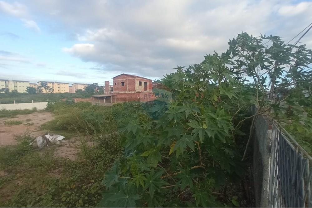 Terreno - Venda - Parnamirim , Rio Grande do Norte - WhatsApp Image 2025-08-04 at 09.58.58 (2).jpeg - 720731005-133