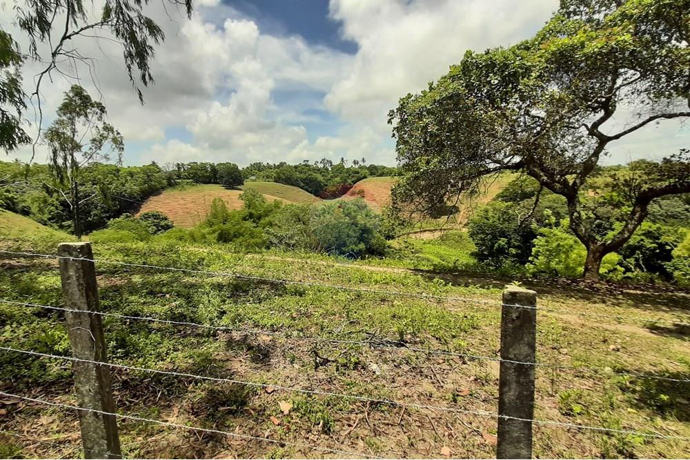 Chácara / Sítio / Fazenda - Venda - Conde , Paraíba - 20211021_110142.jpg - 722011055-33