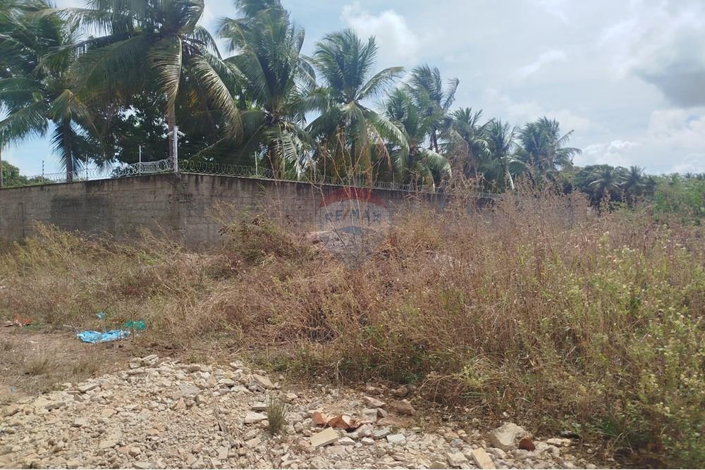 Terreno - Venda - Nísia Floresta , Rio Grande do Norte - WhatsApp Image 2024-11-22 at 21.32.42.jpeg - 720891013-275