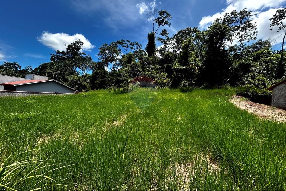 Terreno - Venda - Cacoal , Rondônia - IMG_2026.jpg - 721971001-42