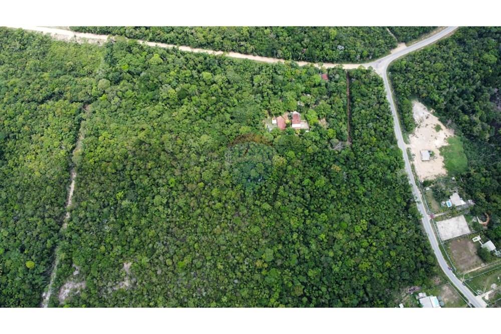 Terreno - Venda - Manaus , Amazonas - WhatsApp Image 2025-12-18 at 17.09.44 (2).jpeg - 720721004-184