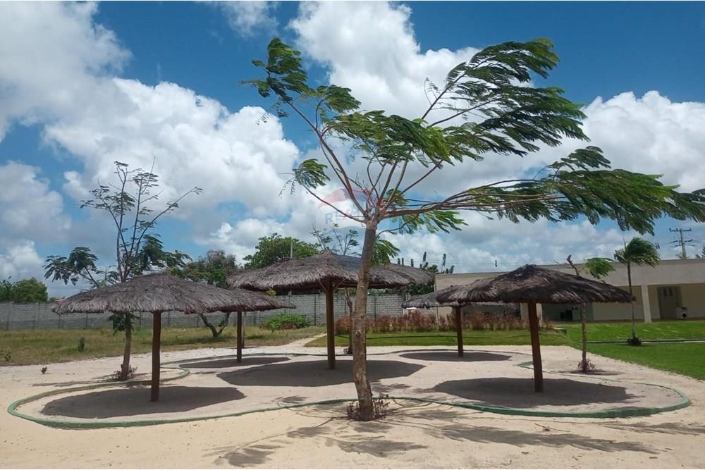 Terreno - Venda - Nísia Floresta , Rio Grande do Norte - WhatsApp Image 2025-10-09 at 11.49.06.jpeg - 720891133-248