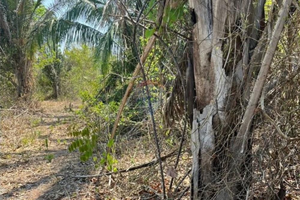 Chácara / Sítio / Fazenda - Venda - Rondonópolis , Mato Grosso - WhatsApp Image 2025-10-08 at 16.18.11.jpeg - 720611061-11