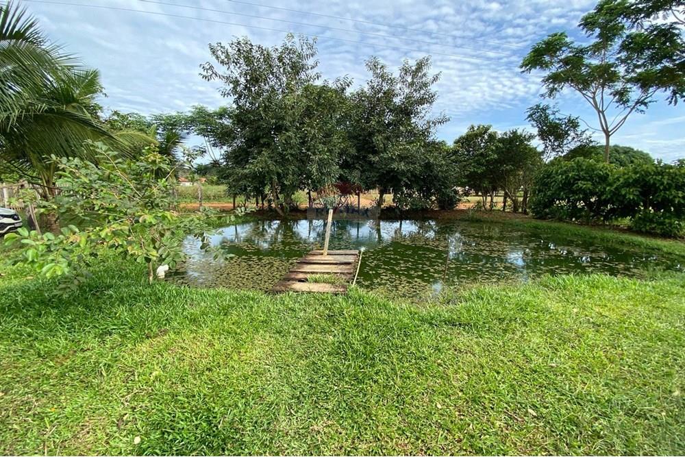 Residential - फार्म - Porto Velho , Rondônia - BR - PHOTO-2022-03-04-17-33-32.jpg - 721551076-78