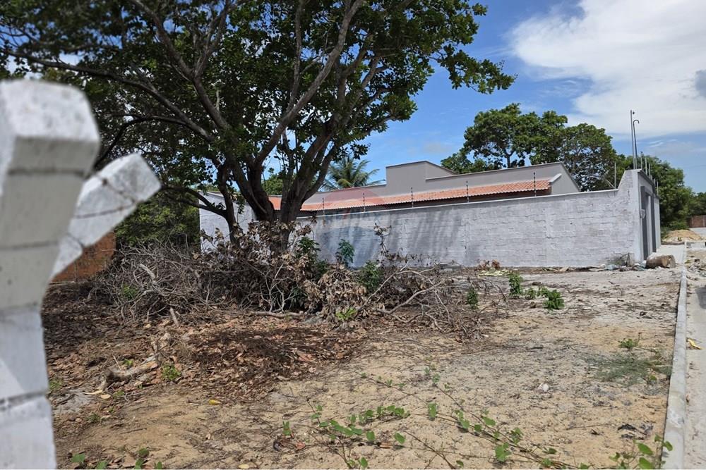 Terreno - Venda - Cruz , Ceará - 1000524586.jpg - 722341001-192