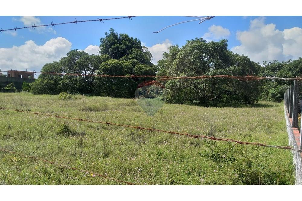 Terreno - Venda - São Gonçalo do Amarante , Rio Grande do Norte - WhatsApp Image 2025-07-30 at 15.14.16.jpeg - 720891034-38