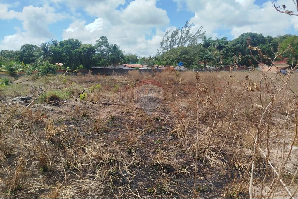 Terreno - Venda - Nísia Floresta , Rio Grande do Norte - WhatsApp Image 2024-11-22 at 21.32.39.jpeg - 720891013-275