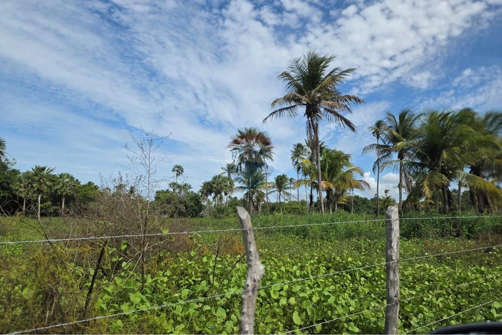Terreno - Venda - Acaraú , Ceará - 1000542809.jpg - 722341001-188