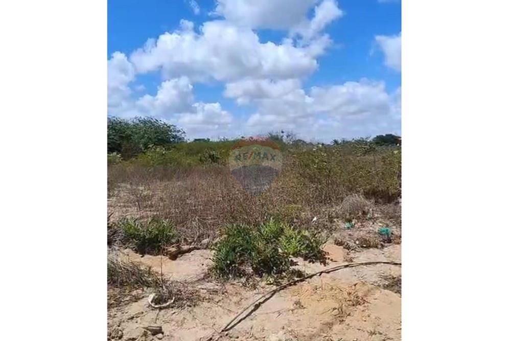 Terreno - Venda - São José de Mipibu , Rio Grande do Norte - TERRENO 2.jpeg - 720891130-239