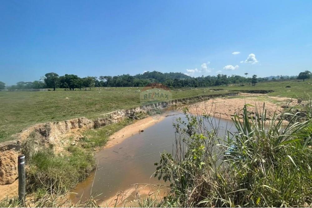 Chácara / Sítio / Fazenda - Venda - Ministro Andreazza , Rondônia - 217.jpg - 722311011-37