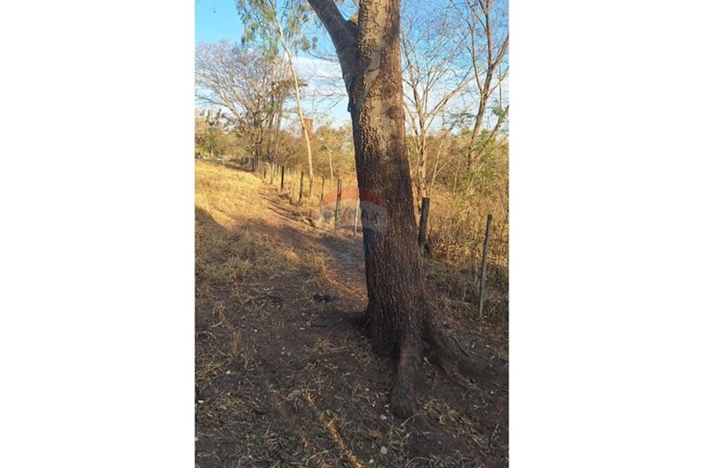 Outros - Venda - Rondonópolis , Mato Grosso - IMG-20250830-WA0128.jpg - 721981068-7