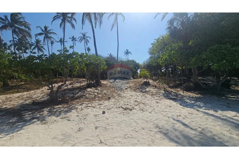 Terreno - Venda - Jijoca de Jericoacoara , Ceará - 20240923_142006.jpg - 722341001-43