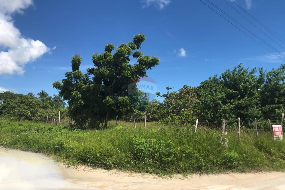 Terreno - Venda - Cruz , Ceará - IMG_0606.jpeg - 722341001-199