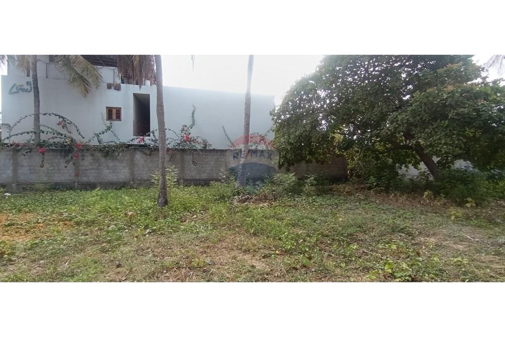 Terreno - Venda - Trairi , Ceará - WhatsApp Image 2025-12-16 at 13.46.40.jpeg - 722341005-16