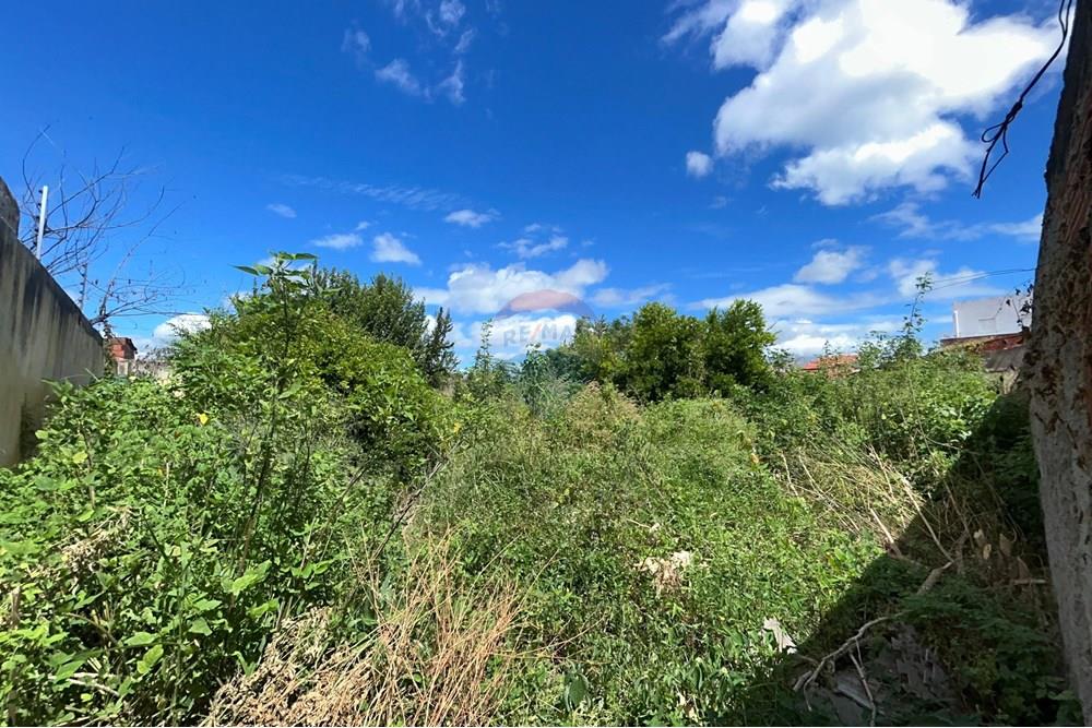 Casa - Venda - Iguatu , Ceará - WhatsApp Image 2025-05-19 at 14.38.43.jpeg - 720931002-349